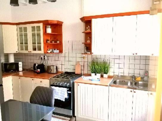 Free Garage Parking, Ac And Bikes In The Downtown Apartment Budapest Exterior photo